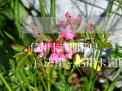 信用卡逾期利息滯納金國家相關(guān)法律-信用卡逾期利息滯納金國家相關(guān)法律規(guī)定