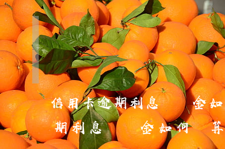 信用卡逾期利息滯納金如何計算-信用卡逾期利息滯納金如何計算的