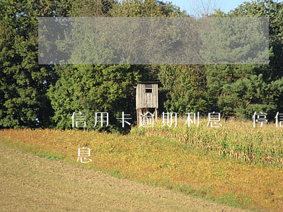 信用卡逾期利息漲停(信用卡 逾期罰息 逾期利息)