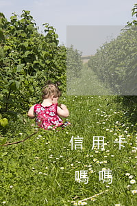 信用卡逾期利息用還嗎 信用卡逾期利息用還嗎嗎