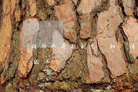 信用卡逾期利息疊加-信信用卡逾期利息怎么算