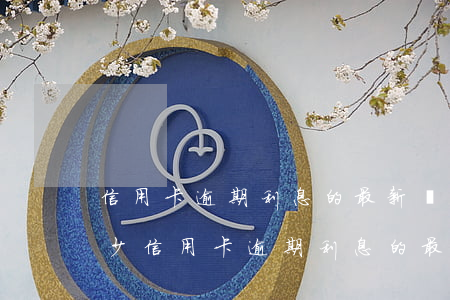 信用卡逾期利息的最新規(guī)定是多少 信用卡逾期利息的最新規(guī)定是多少天