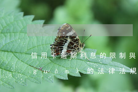 信用卡逾期利息的限制(與信用卡逾期相關(guān)的法律法規(guī))