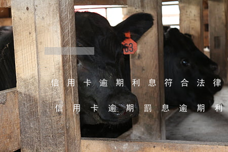 信用卡逾期利息符合法律規(guī)定嗎(信用卡 逾期罰息 逾期利息)