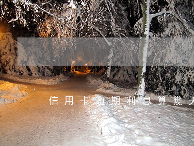 信用卡逾期利息算幾天 利息多久算逾期