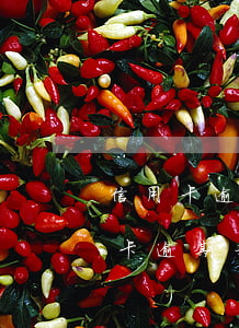 信用卡逾期利息終止時(shí)間-信用卡逾期利息終止時(shí)間是多少