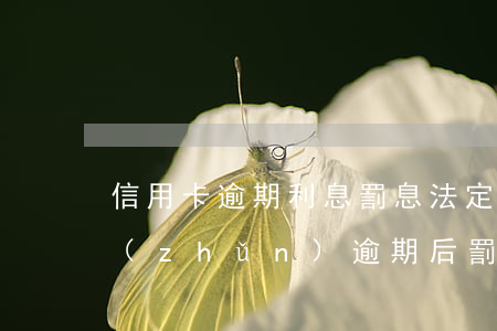信用卡逾期利息罰息法定標(biāo)準(zhǔn)(逾期后罰息和利息不得超過(guò)多少)