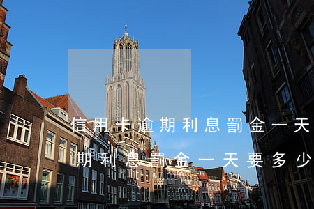 信用卡逾期利息罰金一天要多少-信用卡逾期利息罰金一天要多少錢