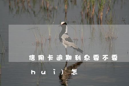 信用卡逾期利息要不要還(逾期還信用卡會(huì)怎樣)