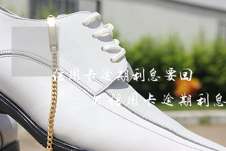 信用卡逾期利息要回還會(huì)上征信嗎-欠信用卡逾期利息怎么算