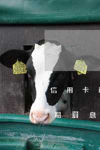 信用卡逾期利息規(guī)避-信用卡 逾期 罰息