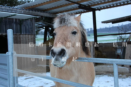 信用卡逾期利息起訴(“信用卡逾期多久會(huì)被起訴”)