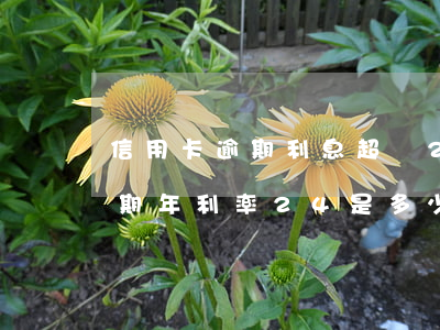 信用卡逾期利息超過24點(diǎn)(逾期年利率24是多少)