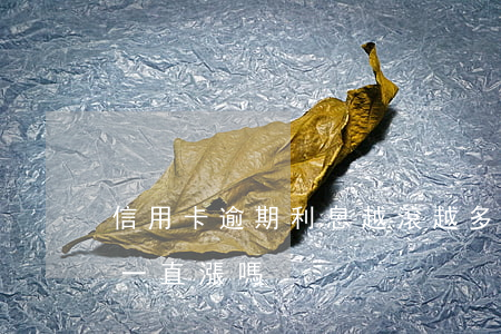 信用卡逾期利息越滾越多(信用卡逾期利息會一直漲嗎)
