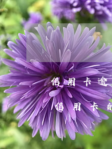 信用卡逾期利息跟滯納金 法律對(duì)信用卡的利息和滯納金有規(guī)定嗎