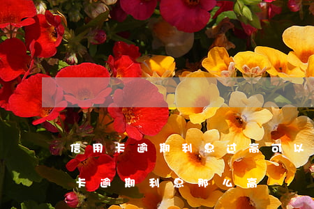 信用卡逾期利息过高可以投诉吗(为什么信用卡逾期利息那么高)