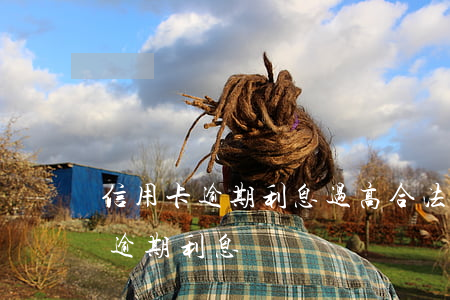 信用卡逾期利息过高合法吗(信用卡 逾期罚息 逾期利息)