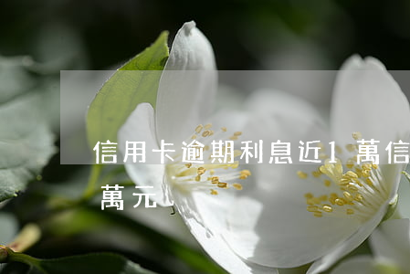 信用卡逾期利息近1萬(信用卡逾期利息近1萬元)