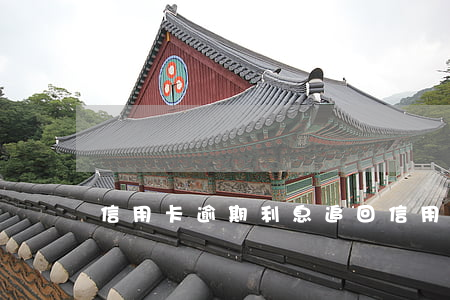 信用卡逾期利息追回(信用卡 逾期 費用)