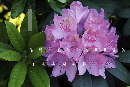 信用卡逾期利息違約金怎么處理(信用卡 逾期罰息 逾期利息)