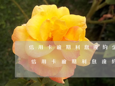 信用卡逾期利息違約金收取依據(jù)-信用卡逾期利息違約金收取依據(jù)是什么