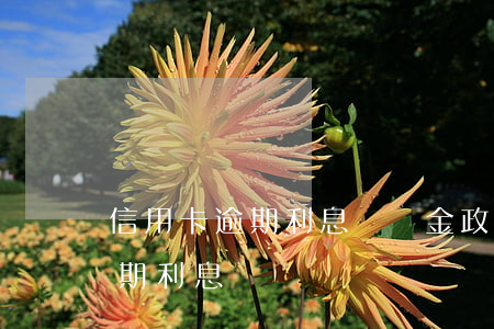 信用卡逾期利息違約金政策(各銀行信用卡逾期利息)