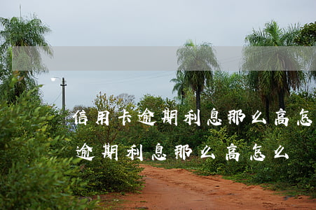 信用卡逾期利息那么高怎么還的起-信用卡逾期利息那么高怎么還的起來(lái)呢