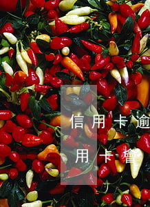 信用卡逾期利息銀行同意減嗎(貸款逾期后信用卡會(huì)降額嗎)
