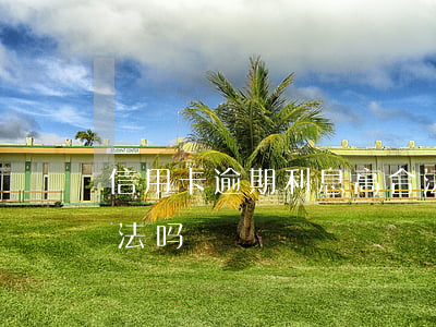 信用卡逾期利息高合法吗(信用卡逾期利息合法吗)