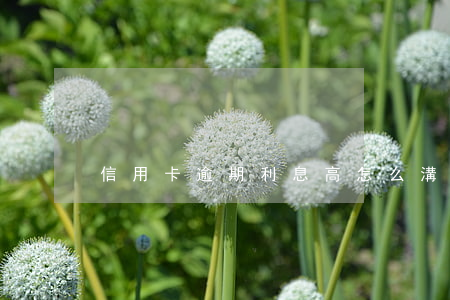 信用卡逾期利息高怎么溝通