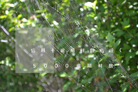 信用卡逾期利息高達(dá)50元(信用卡5000逾期利息)