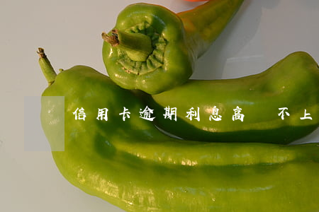 信用卡逾期利息高還不上怎么辦