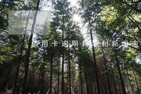 信用卡逾期利滚利新闻 逾期会利滚利吗