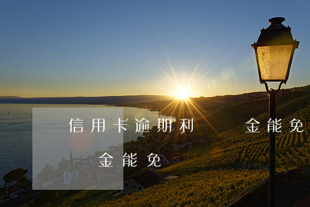 信用卡逾期利滯納金能免嗎(信用卡逾期利滯納金能免嗎)