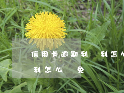 信用卡逾期利滾利怎么減免(信用卡逾期利滾利怎么減免)