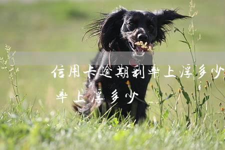 信用卡逾期利率上浮多少(征信有逾期銀行利率上浮多少)