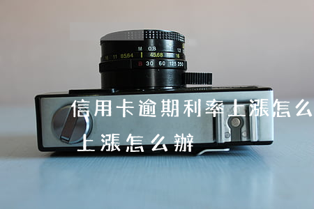 信用卡逾期利率上漲怎么辦(信用卡逾期利率上漲怎么辦)