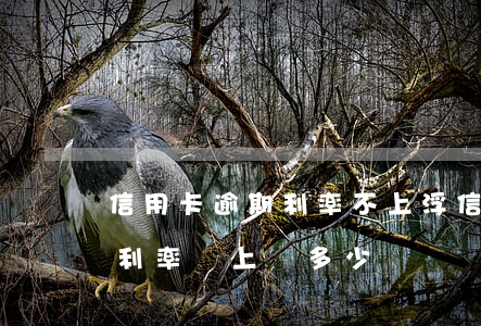 信用卡逾期利率不上浮(信用卡逾期貸款買房利率會上漲多少)