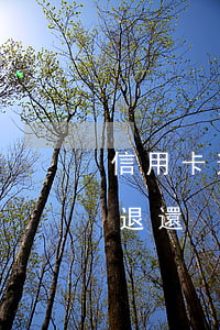 信用卡 逾期利率（信用卡逾期利息如何讓銀行退還）