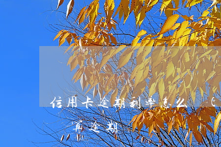信用卡逾期利率怎么計(jì)算(信用卡怎樣算逾期)