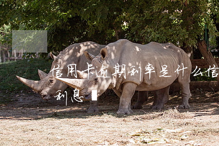 信用卡逾期利率是什么(信用卡逾期會一直算利息嗎)