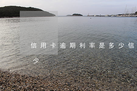 信用卡逾期利率是多少(信用貸逾期利息是多少)