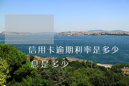 信用卡逾期利率是多少錢(信用卡逾期最高利息是多少)