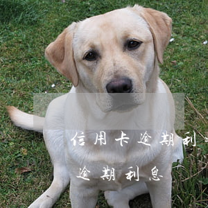 信用卡逾期利率要上調(diào) 信用卡 逾期利息