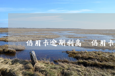 信用卡逾期利高嗎(信用卡逾期利息合法嗎)