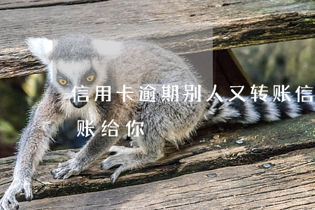 信用卡逾期别人又转账(信用卡逾期别人又转账给你)