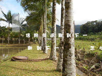 信用卡逾期到下一個賬單怎么辦-信用卡逾期到下一個賬單怎么辦呢