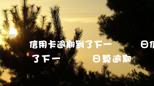 信用卡逾期到了下一個賬單日(信用卡逾期到了下一個賬單日算逾期嗎)