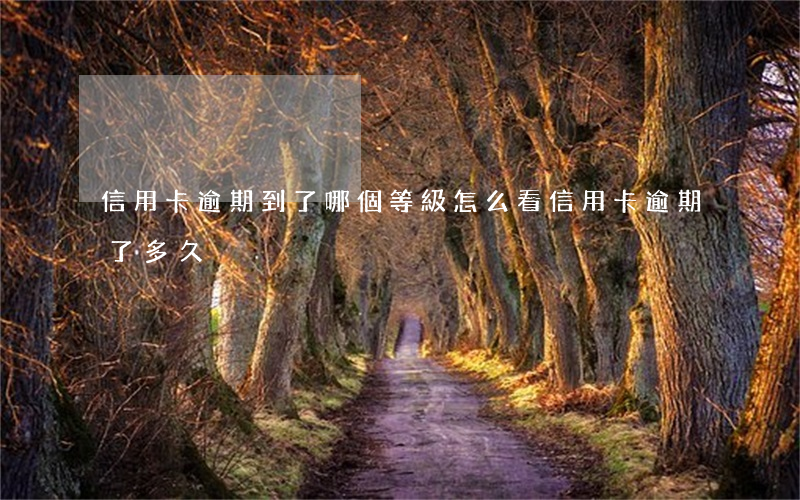信用卡逾期到了哪個等級(怎么看信用卡逾期了多久)
