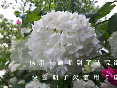 信用卡逾期到了法院還能協(xié)商么(快逾期了欠信用卡還不起跟銀行能有協(xié)商的可能性嗎)